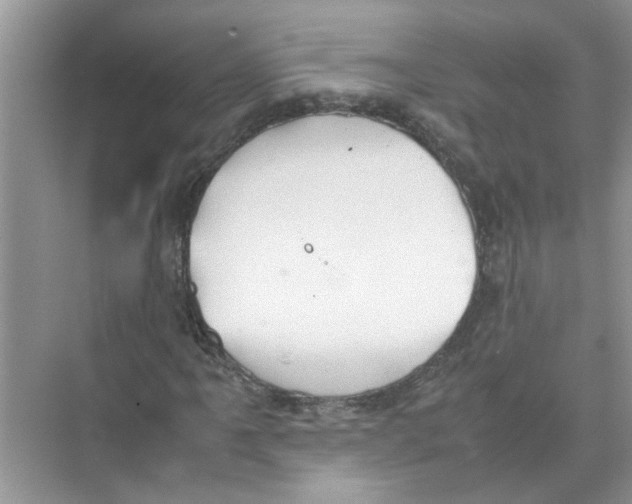 X0000074311061200609222355