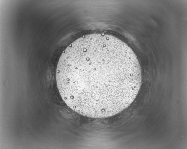 X0000074311063200609222355