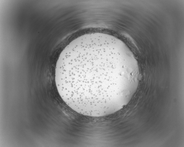 X0000074311064200609222355