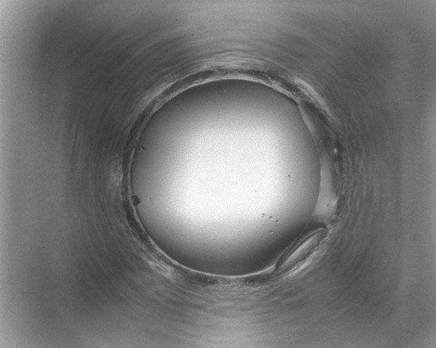 X0000074311065200609222355