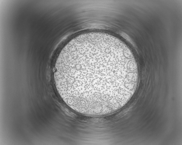 X0000074311067200609222355