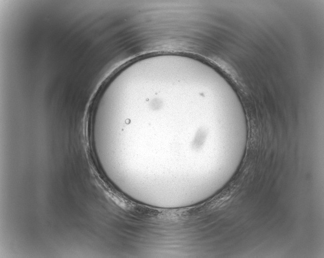 X0000074311078200609222354