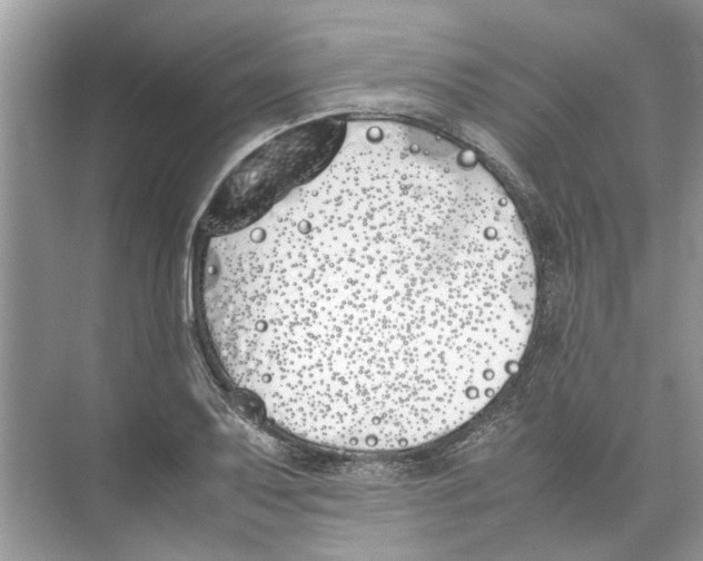 X0000074311079200609222354