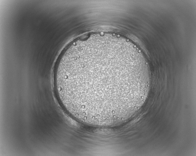 X0000074311083200609222354