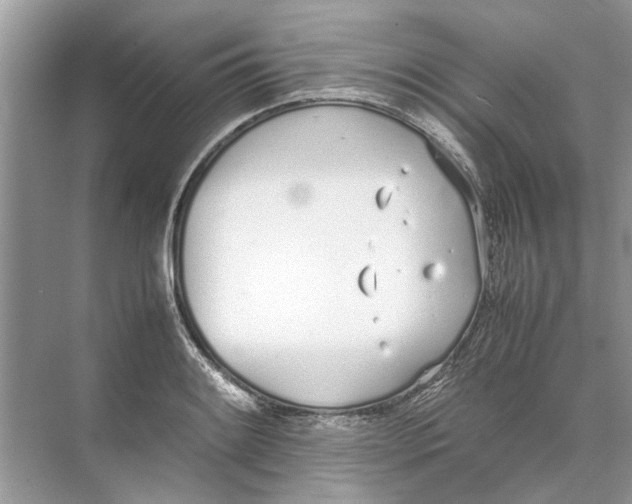 X0000074311084200609222354