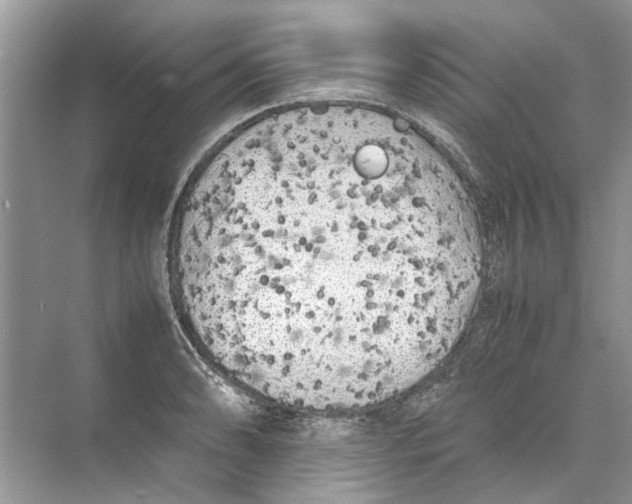 X0000074311086200609222354