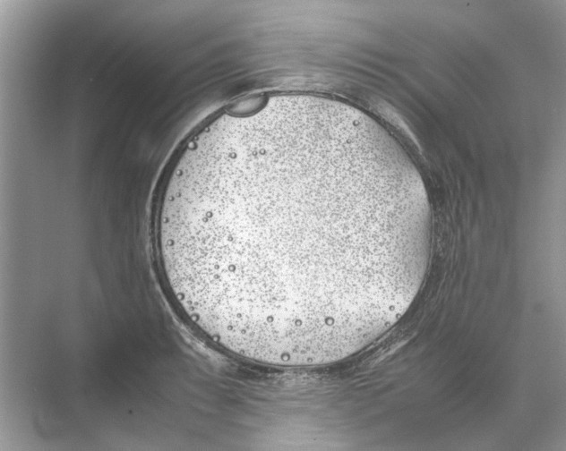 X0000074311087200609222354