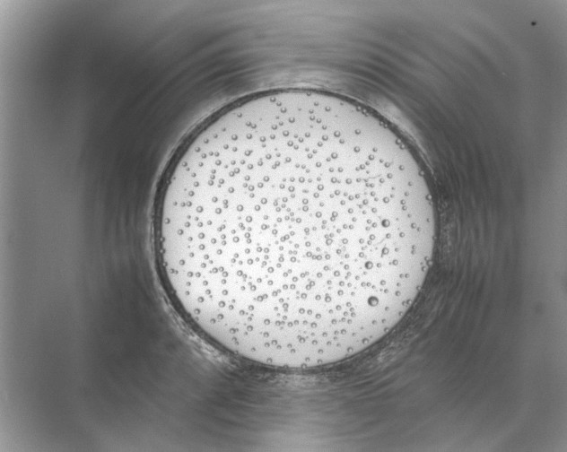 X0000074311088200609222354