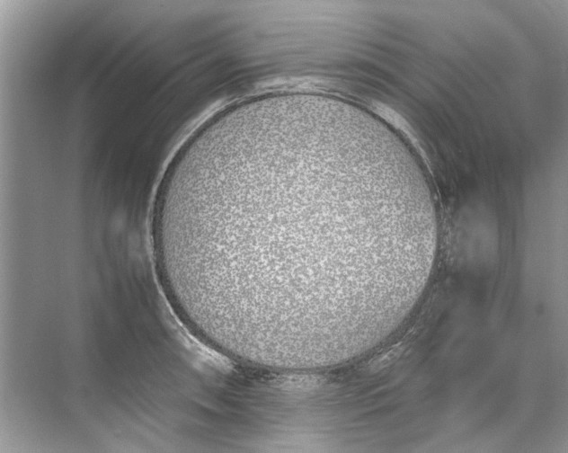 X0000074311090200609222354