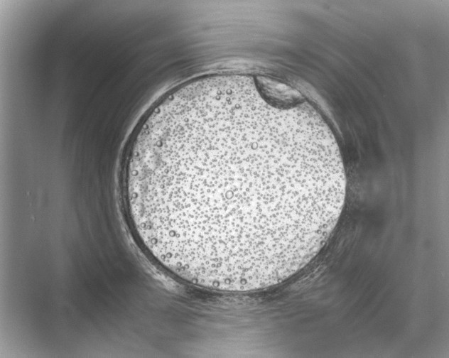 X0000074311091200609222354