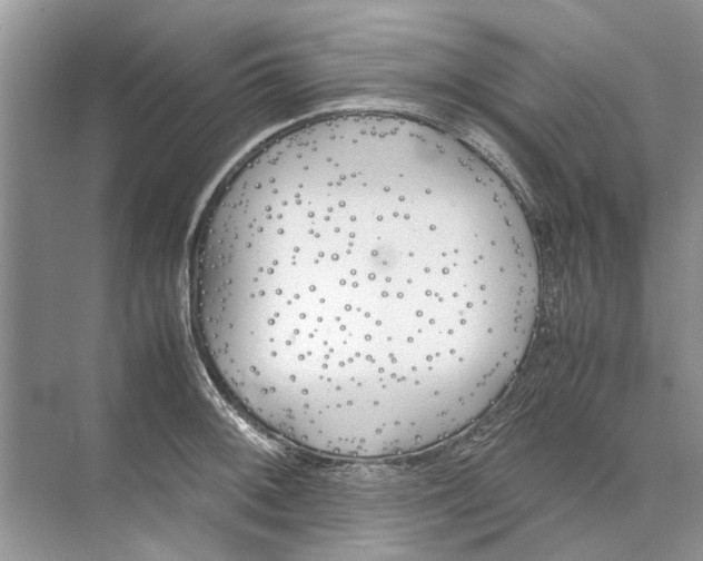 X0000074311092200609222354