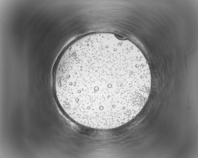 X0000074311095200609222354