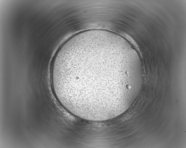 X0000074311096200609222354