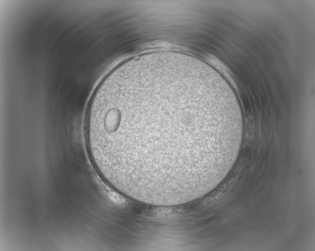 X0000074311098200609222354