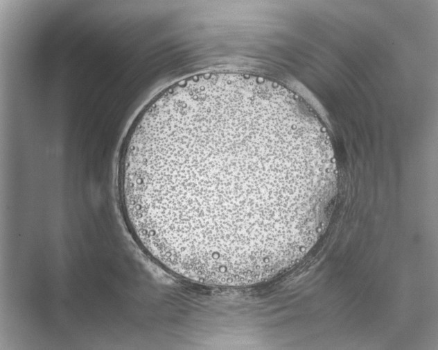 X0000074311099200609222354