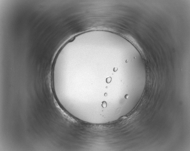 X0000074311100200609222354