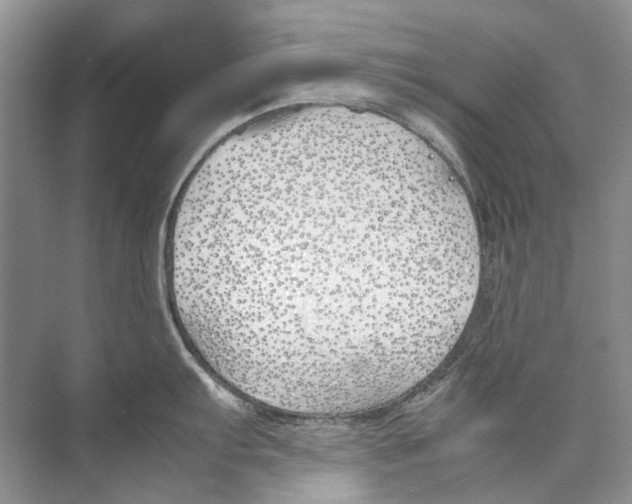 X0000074311103200609222354