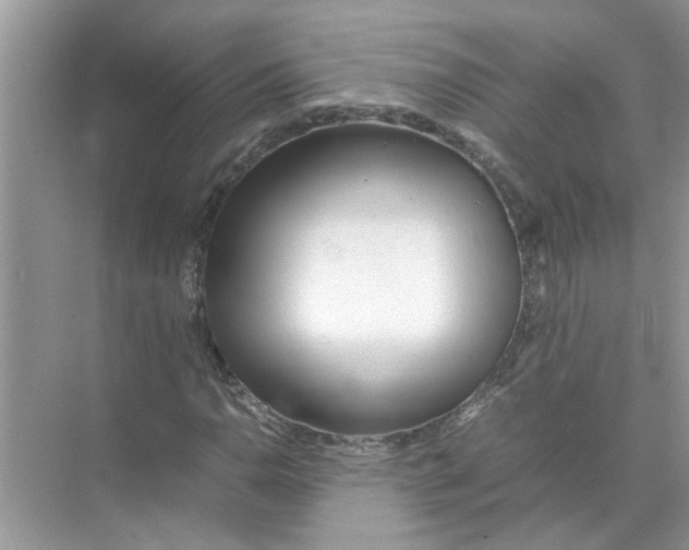 X0000074311110200609222353