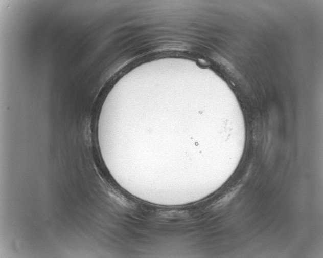 X0000074311113200609222353