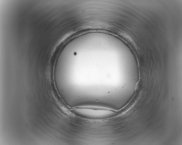 X0000074311114200609222353