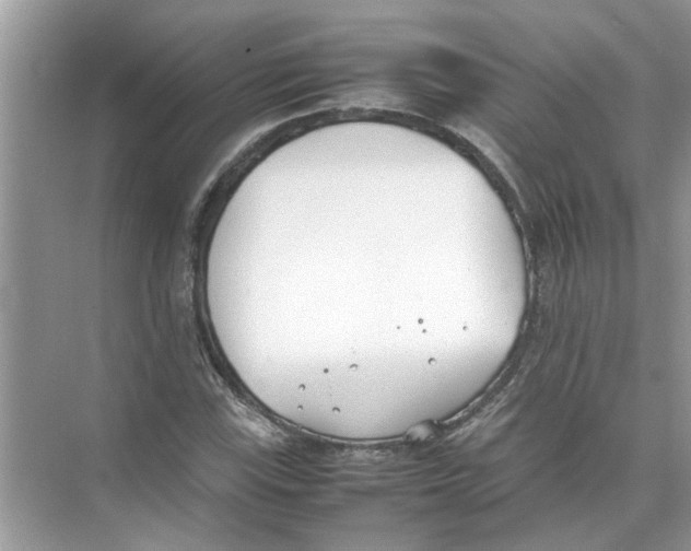 X0000074311115200609222353