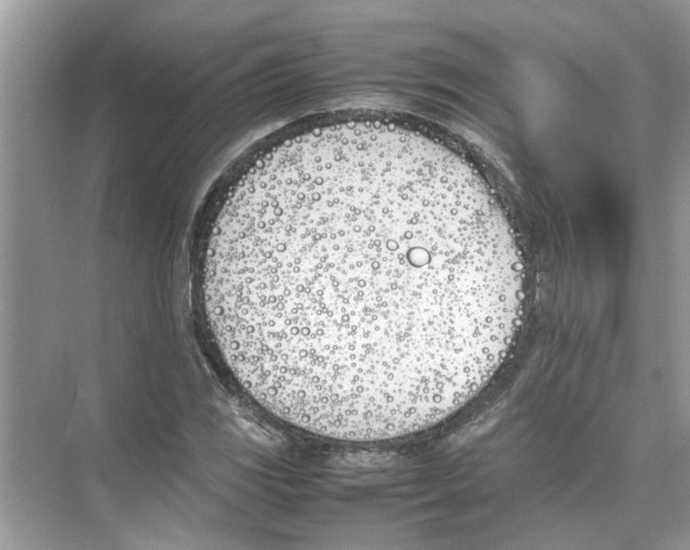 X0000074311117200609222353