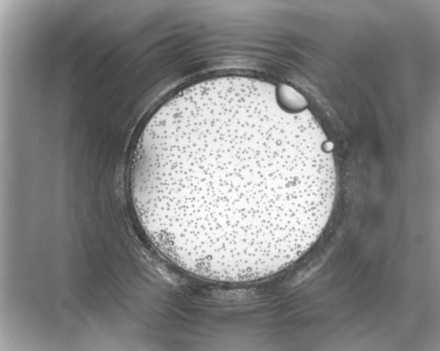 X0000074311121200609222353