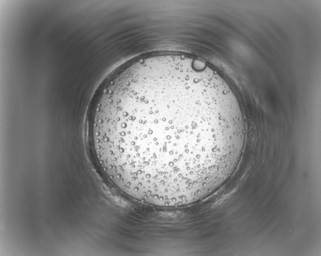 X0000074311125200609222354