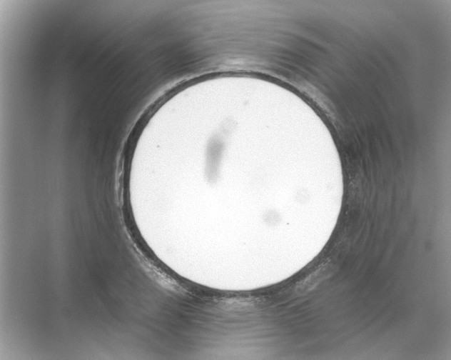 X0000074311126200609222354