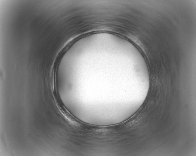 X0000074311127200609222354