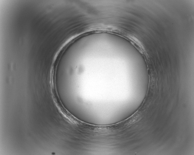 X0000074311128200609222354