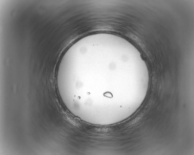 X0000074311129200609222354