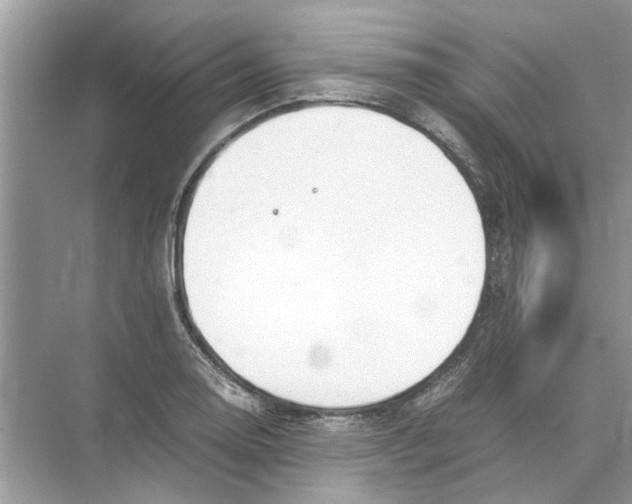 X0000074311130200609222354