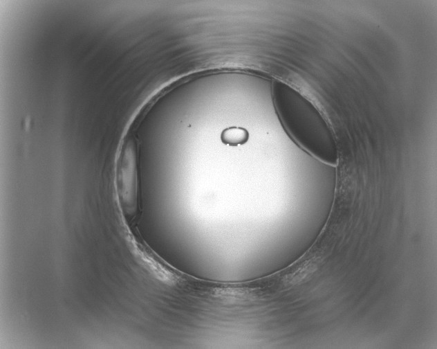 X0000074311132200609222354