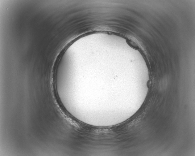 X0000074311133200609222354