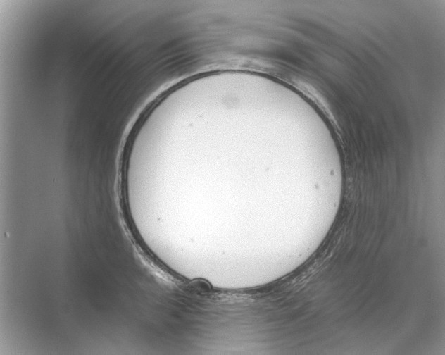 X0000074311136200609222354