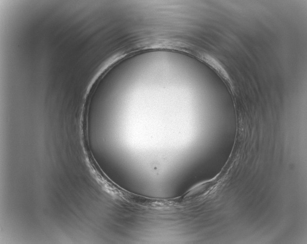 X0000074311138200609222354