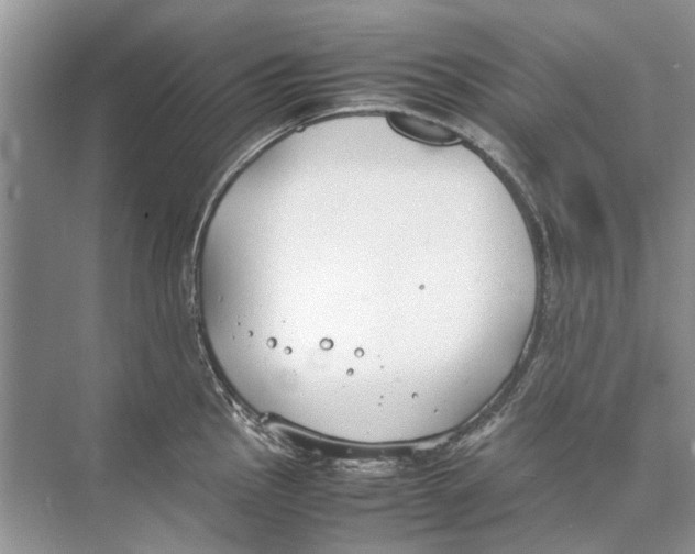 X0000074311145200609222354