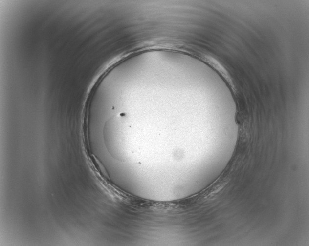 X0000074311146200609222354