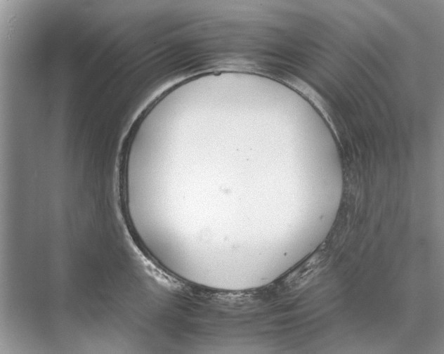 X0000074311147200609222354