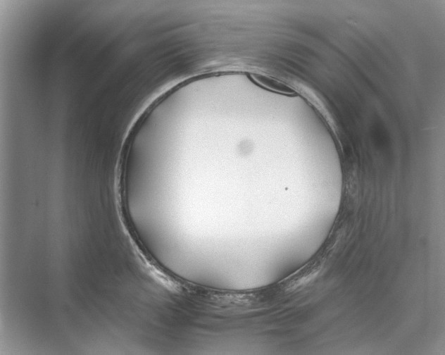 X0000074311149200609222354