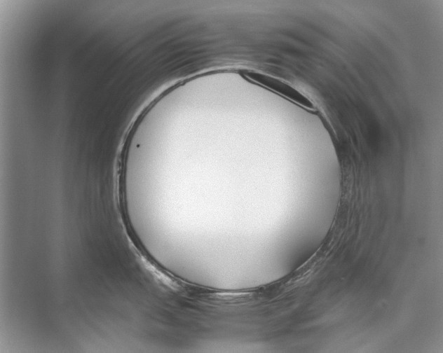 X0000074311151200609222354