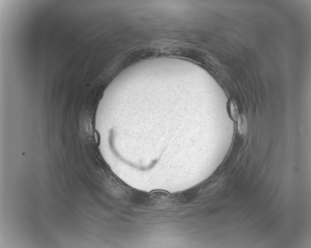 X0000074311155200609222353