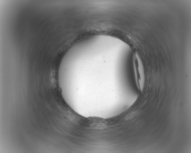 X0000074311156200609222353