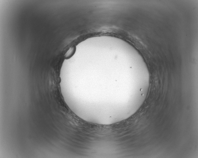 X0000074311158200609222353