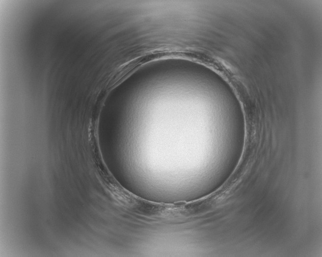 X0000074311161200609222353