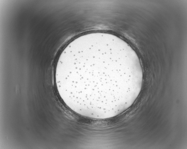 X0000074311171200609222353