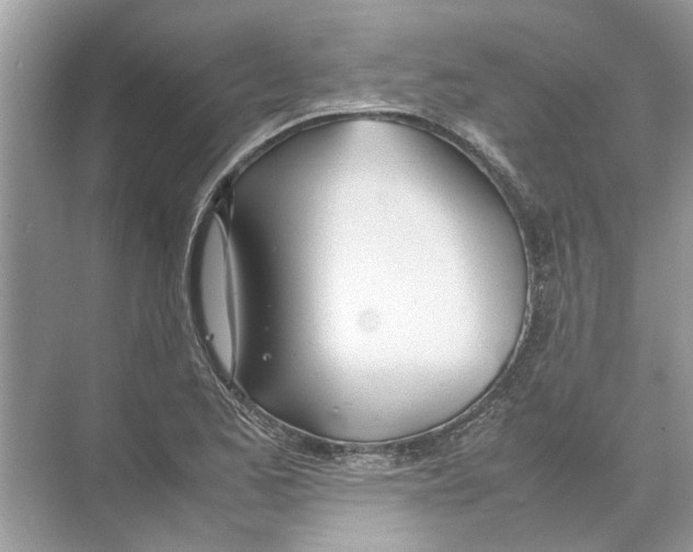 X0000074311173200609222353