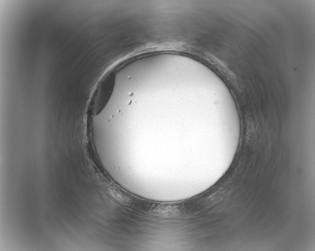 X0000074311174200609222353