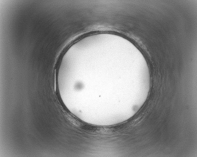 X0000074311175200609222353